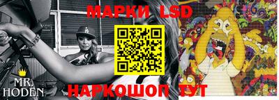 spice Обнинск