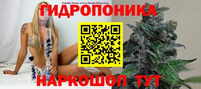 соль ск Обь