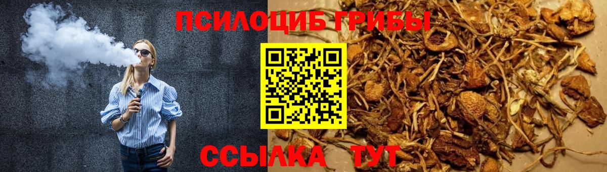 Псилоцибиновые грибы Psilocybe Алатырь