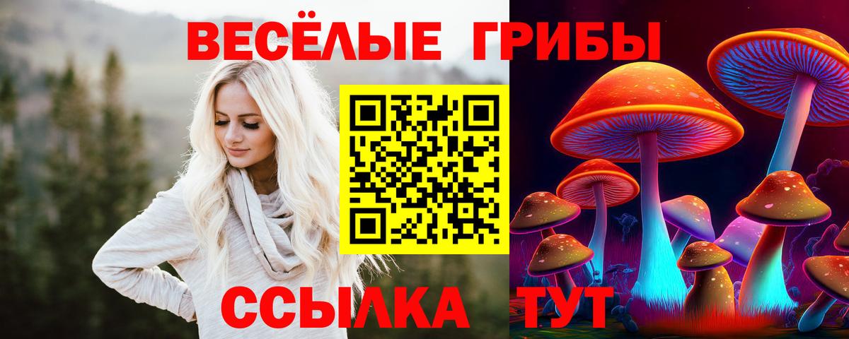 Галлюциногенные грибы Cubensis  Галлюциногенные грибы Psilocybe  Вход с VPN  Алатырь 